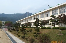 학교행사갤러리<알림마당<청산중학교 청산중학교