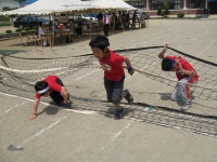 소수앨범<소수알림마당<소수초등학교 소수초등학교