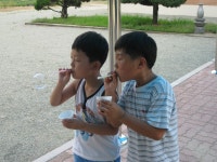 활동모습<방과후학교<석성초등학교 석성초등학교