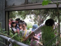 H.S.C 갤러리<한솔 과학반(H.S.C)<한솔초등학교 한솔초등학교