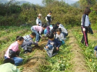 교육앨범<교육앨범<목도소식<목도초등학교 목도초등학교
