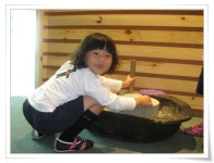 유치원 앨범<유치원<심천초등학교 심천초등학교