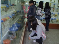 주제별 앨범<자연사 과학관<증평중학교 증평중학교