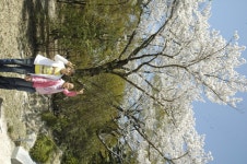 학교앨범<알림마당<무극초등학교 무극초등학교