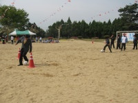 덕신앨범<학교소식<덕신초등학교 덕신초등학교