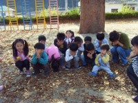 포토앨범<행사마당<어상천초등학교 어상천초등학교