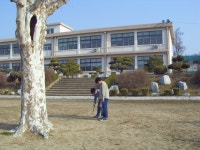 쌍봉앨범<학교소식<쌍봉초등학교 쌍봉초등학교