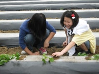 소수앨범<소수알림마당<소수초등학교 소수초등학교
