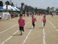 사진마당<구정교육활동앨범<학교소식<구정초등학교 구정초등학교