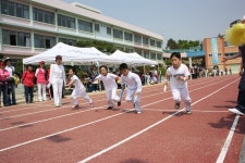 학교앨범<알림마당<삼양초등학교 삼양초등학교