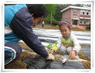 유치원 앨범<유치원<심천초등학교 심천초등학교