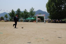 학교앨범<알림마당<탄부초등학교 탄부초등학교