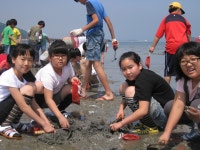 활동갤러리<방<군서초등학교 군서초등학교