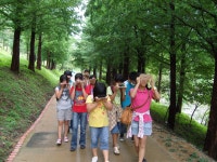 감물앨범<감물소식<감물초등학교 감물초등학교