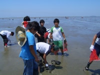 학교앨범<알림마당<삼양초등학교 삼양초등학교