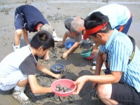학교앨범<알림마당<탄부초등학교 탄부초등학교