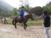 (구)중등부학급소식<성심앨범<교육활동<충주성심학교 충주성심학교