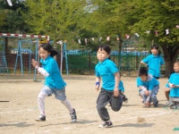 감물앨범<감물소식<감물초등학교 감물초등학교