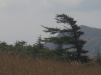 갤러리<4-H회<우리들마당<가곡초등학교 가곡초등학교