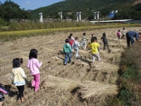 사진방<유치원<동락초등학교 동락초등학교