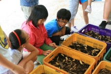 갤러리<체험학습 DiscoveryCenter<과학관<영동중학교 영동중학교