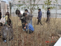 학교앨범(구)<학교앨범<학교소식<서현초등학교 서현초등학교