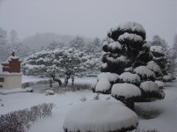 동문회게시판<운영위/동문회<하당초등학교 하당초등학교