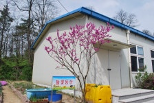 들꽃동산<청룡앨범<청룡소식<청룡초등학교 청룡초등학교