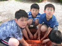 학교활동사진<학교소식<속리초등학교 속리초등학교