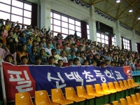 포토앨범<학교앨범<교육활동<신백초등학교 신백초등학교