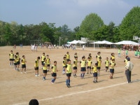 포토앨범<학교앨범<교육활동<신백초등학교 신백초등학교