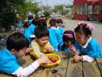 해님 사진첩<우리반소개<병설유치원<운천초등학교 운천초등학교