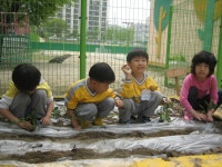 해님 사진첩<우리반소개<병설유치원<운천초등학교 운천초등학교