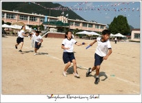 학교앨범