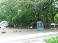 학교행사앨범<교육활동<보덕중학교 보덕중학교