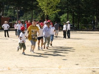 학교행사 앨범<교육활동<낭성초등학교 낭성초등학교