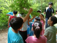 게시판(체험후기)<체험학습 DiscoveryCenter<과학관<영동중학교 영동중학교