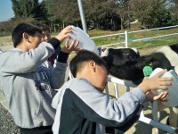 공지사항<교현소식<충주교현초등학교 충주교현초등학교