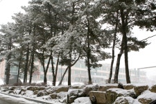 학교앨범<학교앨범<알림마당<제천여자중학교 제천여자중학교