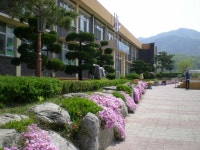 학교전경스케치<학교소개<판동초등학교 판동초등학교