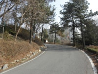 학교 앨범<학교마당<목행초등학교 목행초등학교