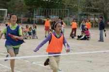 학교행사사진<학교소식<속리초등학교 속리초등학교