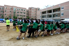 학교앨범<정보마당<서원고등학교 서원고등학교