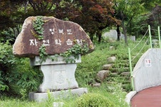 (구)중등부학급소식<성심앨범<교육활동<충주성심학교 충주성심학교