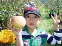 아이 사랑 나눔터<열린마당<병설유치원<각리초등학교 각리초등학교