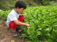 아이 사랑 나눔터<열린마당<병설유치원<각리초등학교 각리초등학교
