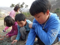 사진<오후돌봄교실<종일돌봄교실<남이초등학교 남이초등학교