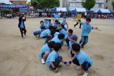행사 앨범<알림마당<내수초등학교 내수초등학교