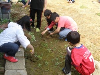 보발분교 활동모습<학교특색사업<가곡초등학교 가곡초등학교