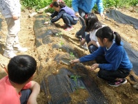 보발분교 활동모습<학교특색사업<가곡초등학교 가곡초등학교